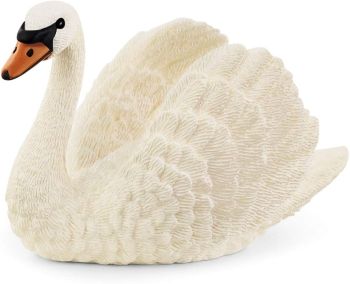 SHL13921 - cigno
