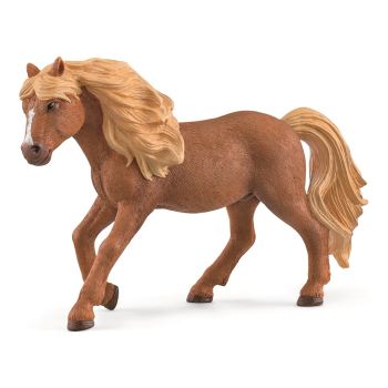 SHL13943 - Stallone islandese
