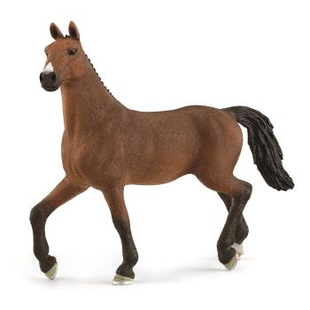 SHL13945 - Cavalla Oldenburg