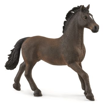 SHL13946 - Stallone Oldenburg