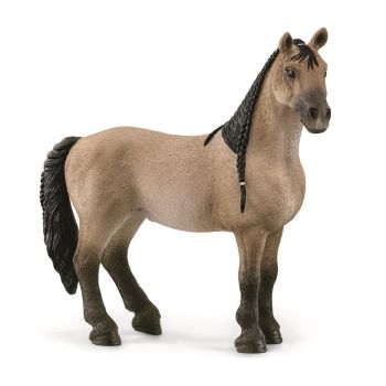 SHL13948 - Criollo Mare Definitivo