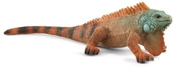 SHL14854 - Giovane tapiro