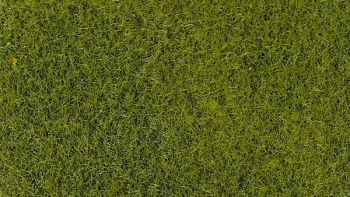 HEK3364 - Busta da 50 g di floccaggio verde chiaro da 2-3 mm