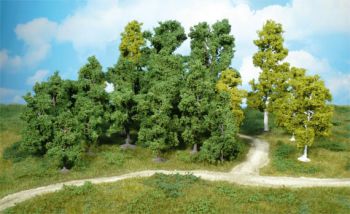 HEK1955 - Set di 20 alberi a foglia 5-11 cm