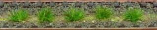 HEK1803 - 100 Ciuffi d'erba verde scuro 5-6 mm