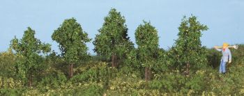 HEK19130 - 5 Alberi decidui 4 cm