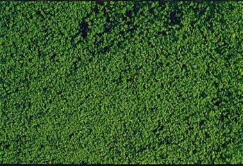 HEK1602 - Schiuma floccata verde scuro 14x28 cm