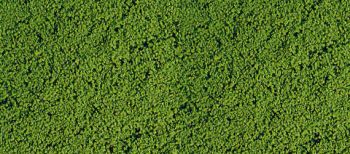 HEK1601 - Schiuma floccata verde medio 14x28 cm