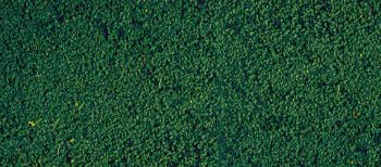 HEK1603 - Schiuma floccata verde pino 14x28 cm