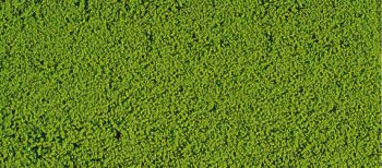 HEK1600 - Schiuma floccata verde chiaro 14x28 cm
