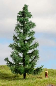 NOC20193 - Abete rosso 15 cm