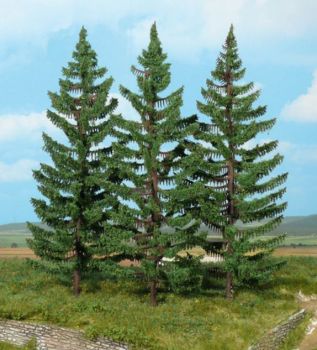 HEK2129 - 3 abeti rossi di montagna 20 cm