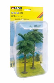 NOC21972 - 2 palme, 15 e 19 cm
