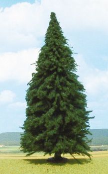 HEK2342 - Abete 30 cm