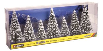 NOC25087 - 7 abeti innevati