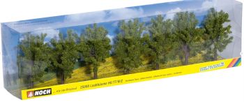 NOC25088 - 7 alberi decidui, 8 cm