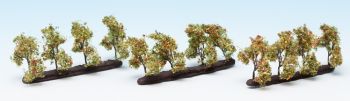 NOC21537 - 24 Piantare alberi con mele