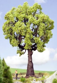 NOC21761 - Quercia 19 cm