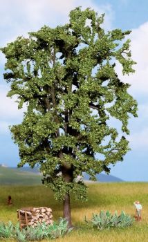 NOC21800 - Castagno 19 cm