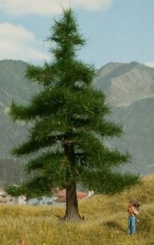 NOC21810 - Albero Nordmann 12 cm