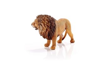 SHL14726 - leone ruggente
