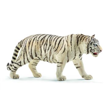 SHL14731 - tigre bianca maschio