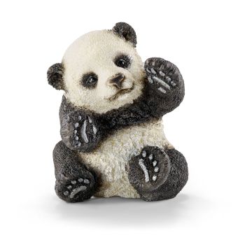SHL14734 - Baby panda che gioca