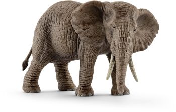 SHL14761 - femmina di elefante africano