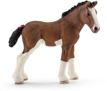 SHL13810 - Puledro di Clydesdale