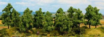 NOC24602 - 6 alberi frondosi da 14 a 18 cm