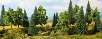 NOC24620 - 8 Alberi forestali da 10 a 14 cm