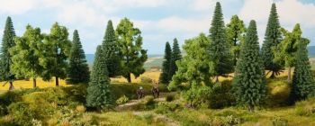NOC24623 - 16 alberi forestali da 4 a 10 cm