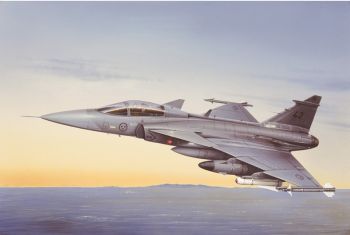 ITA2638 - JAS 39 costruibile Un aereo da caccia Gripen con vernice