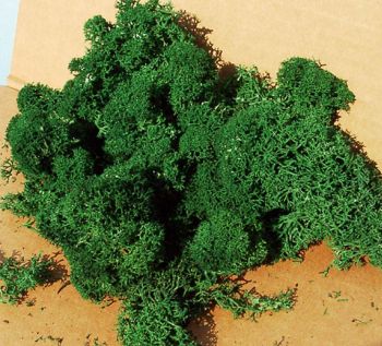 HEK3220 - Lichene verde scuro 75 g