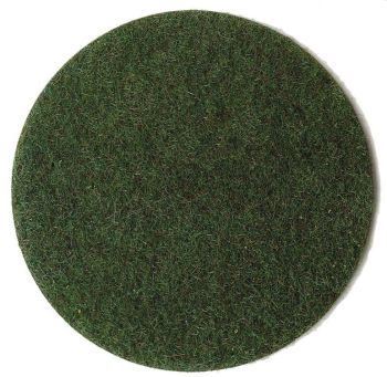 HEK3356 - Erba palustre fibra 2-3 mm - 20 g