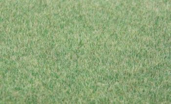 HEK33542 - Erba verde scuro floccata 75 g. 5-6 mm