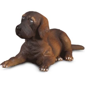 COLL88065 - Cucciolo di alano sdraiato