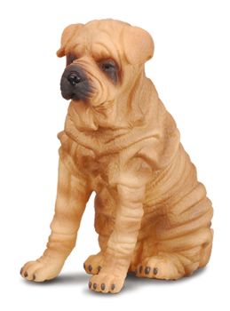 COLL88193 - Cane Sharpei