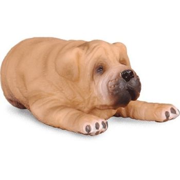 COLL88194 - Cucciolo Sharpei sdraiato