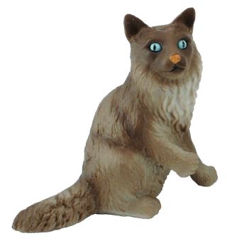 COLL88321 - gatto seduto