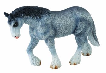 COLL88389 - Cavallo Clydesdale