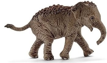 SHL14755 - Elefante asiatico