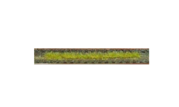HEK1812 - Confezione da 10 strisce di erba autunnale 10 cm