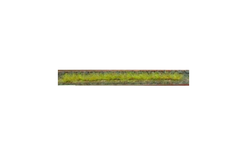 HEK1810 - Confezione da 10 strisce di erba primaverile 10 cm