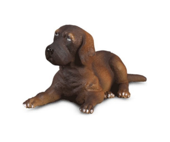 COLL88065 - Cucciolo di alano sdraiato