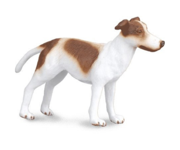 COLL88188 - Cucciolo di levriero