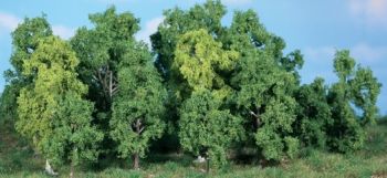 HEK1992 - 14 Alberi a foglie caduche 5-12 cm