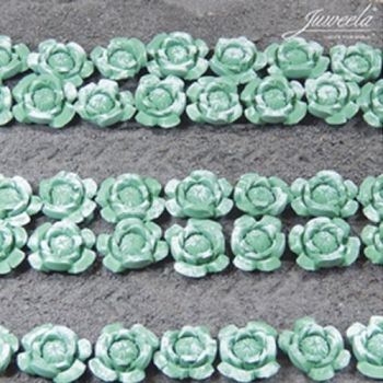 JUW23363 - 36 Cavoli/Insalate