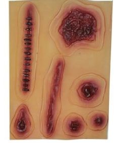 LPE58040 - Scheda da 7 adesivi con cicatrici