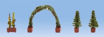 NOC14022 - arco di rose